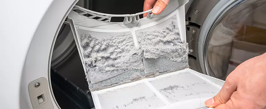 Best Dryer Lint Removal Company in Prunedale, California